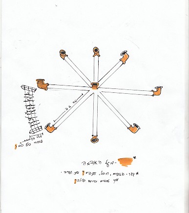circle of ostriches by oded hirsch