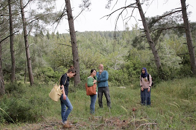 circle of ostriches by oded hirsch