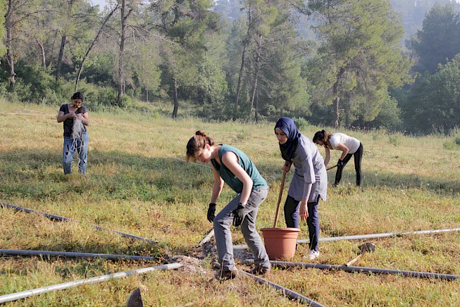 circle of ostriches by oded hirsch