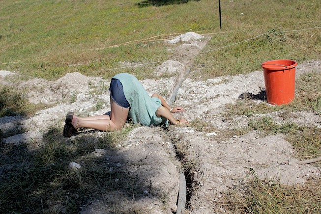 circle of ostriches by oded hirsch