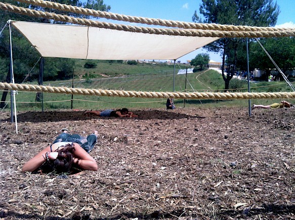 circle of ostriches by oded hirsch