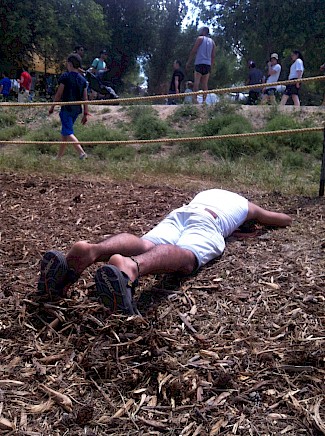 circle of ostriches by oded hirsch