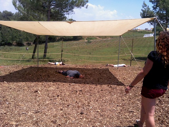 circle of ostriches by oded hirsch