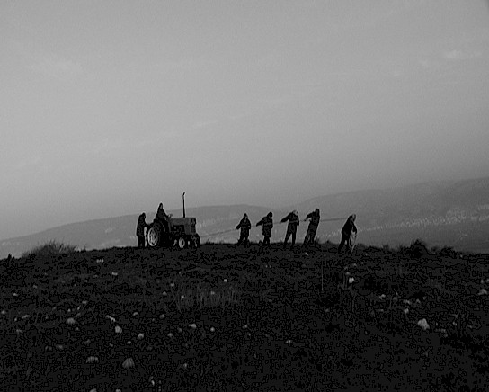the tractor by oded hirsch