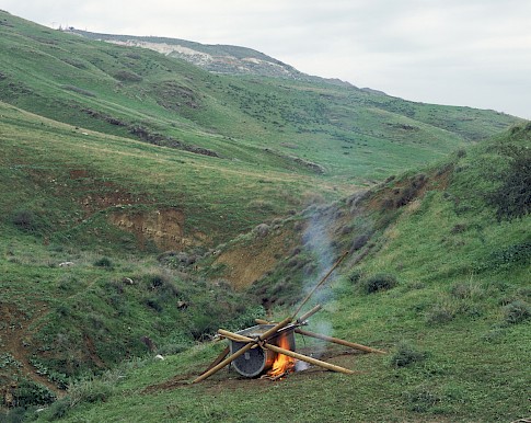 Fire 2010 by oded hirsch