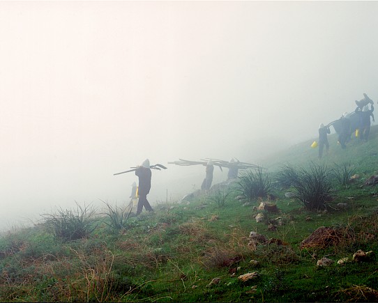 Through the Fog 2010 by oded hirsch